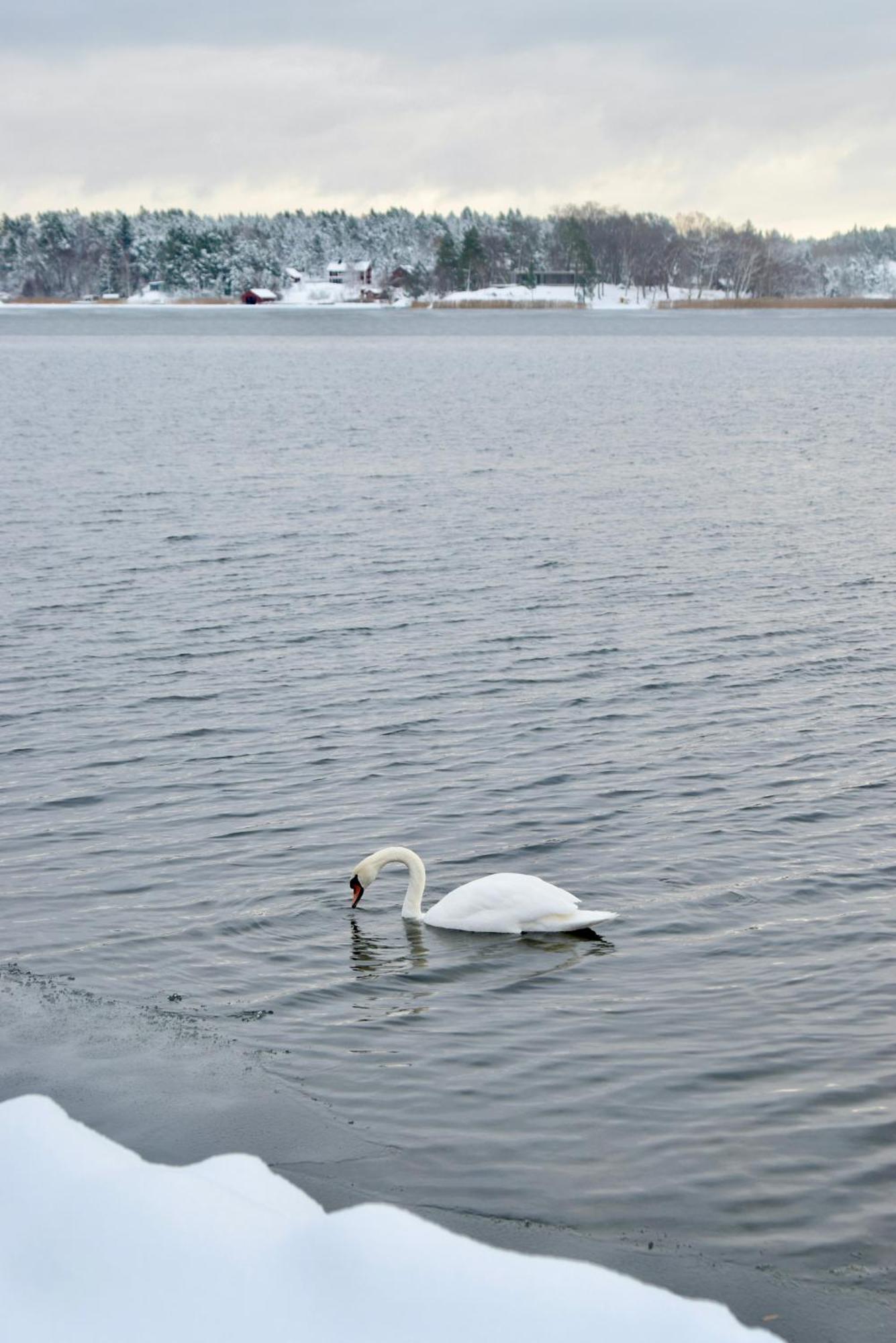 Sjoestuga/Gaesthus I Skaergarden. Åkersberga 외부 사진